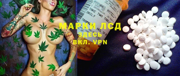 ГАЛЛЮЦИНОГЕННЫЕ ГРИБЫ Алексеевка