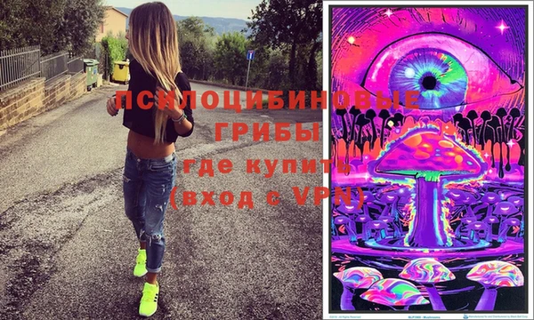 ГАЛЛЮЦИНОГЕННЫЕ ГРИБЫ Алексеевка