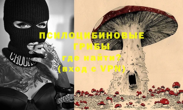 ГАЛЛЮЦИНОГЕННЫЕ ГРИБЫ Алексеевка